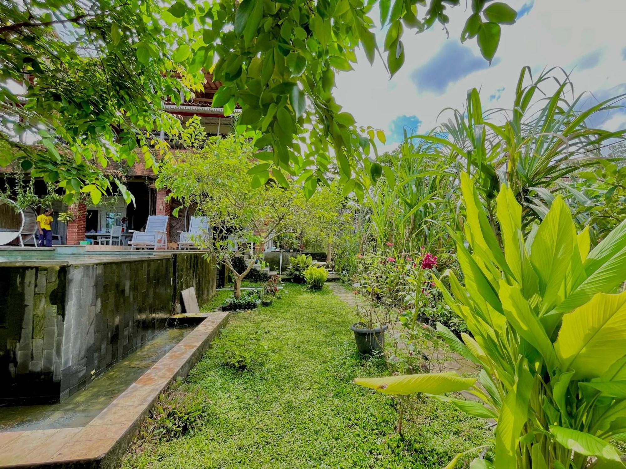 Pondok Isoke Bunggalow Banyuwangi  Bagian luar foto